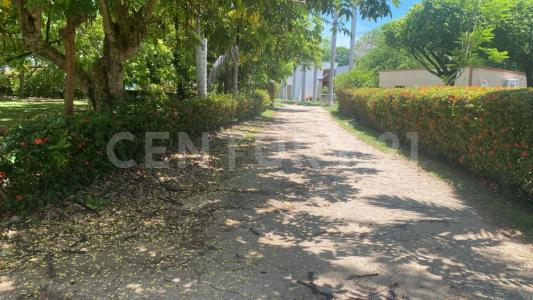 8 69,, Minatitlan, ولاية فيراكروز 96850, المكسيك