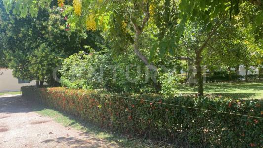 8 69,, Minatitlan, Veracruz 96850, Mexique