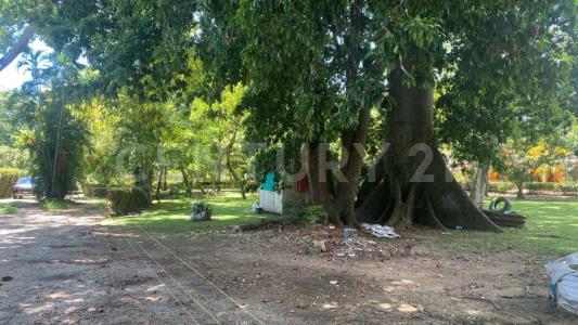 8 69,, Minatitlan, Veracruz 96850, Mexique