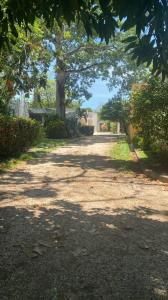 8 69,, Minatitlan, Veracruz 96850, Mexique