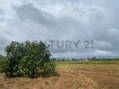 Norte, Santa Cruz 00001, Bolivia