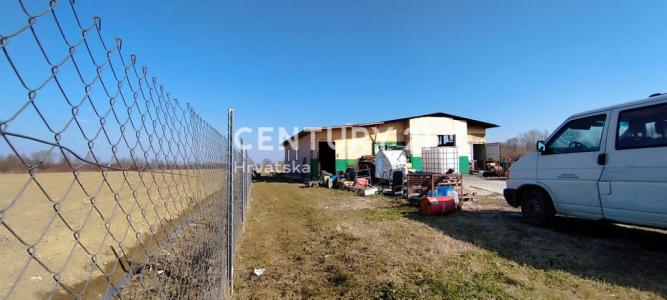 Obed, Orle, Zagrebačka Županija, Chorwacja