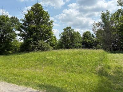 7326 State Route 19 Unit 9, Lots 256-257, Mount Gilead, Ohio 43338, Stati Uniti