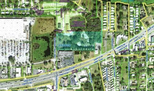 ABUNDANT LIFE DRIVE, AUBURNDALE, Floride 33823, États-Unis