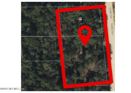 0 David Avenue, Interlachen, フロリダ 32148, アメリカ合衆国