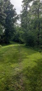 3065 Co Rd 205, Forest, Ohio 45843, États-Unis