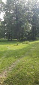 3065 Co Rd 205, Forest, Ohio 45843, États-Unis