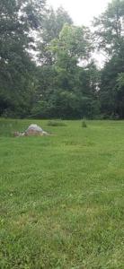 3065 Co Rd 205, Forest, Ohio 45843, États-Unis