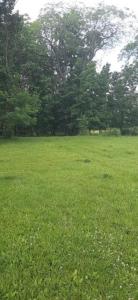 3065 Co Rd 205, Forest, Ohio 45843, États-Unis