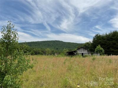 4282 Mount Gilead Church Road, Connelly Springs, Северная Каролина 28612, Соединенные Штаты