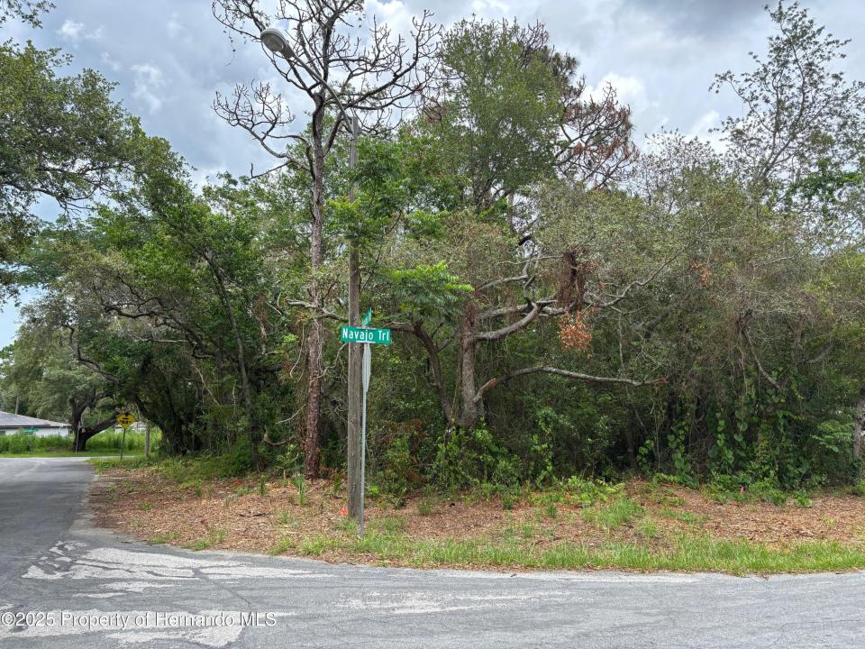 Lot W290 Navajo Trail, Spring Hill, Floride 34606, États-Unis