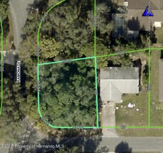 Lot W290 Navajo Trail, Spring Hill, Floride 34606, États-Unis