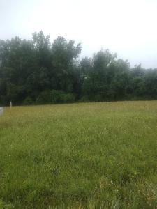 11520 Piedmont Drive, Fredericksburg, Virginia 22407, USA