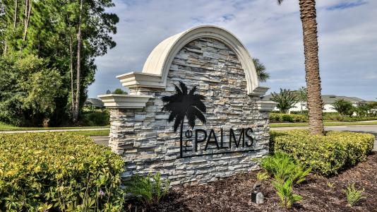 349 Caryota Court, New Smyrna Beach, Florida 32168, Amerika Birleşik Devletleri