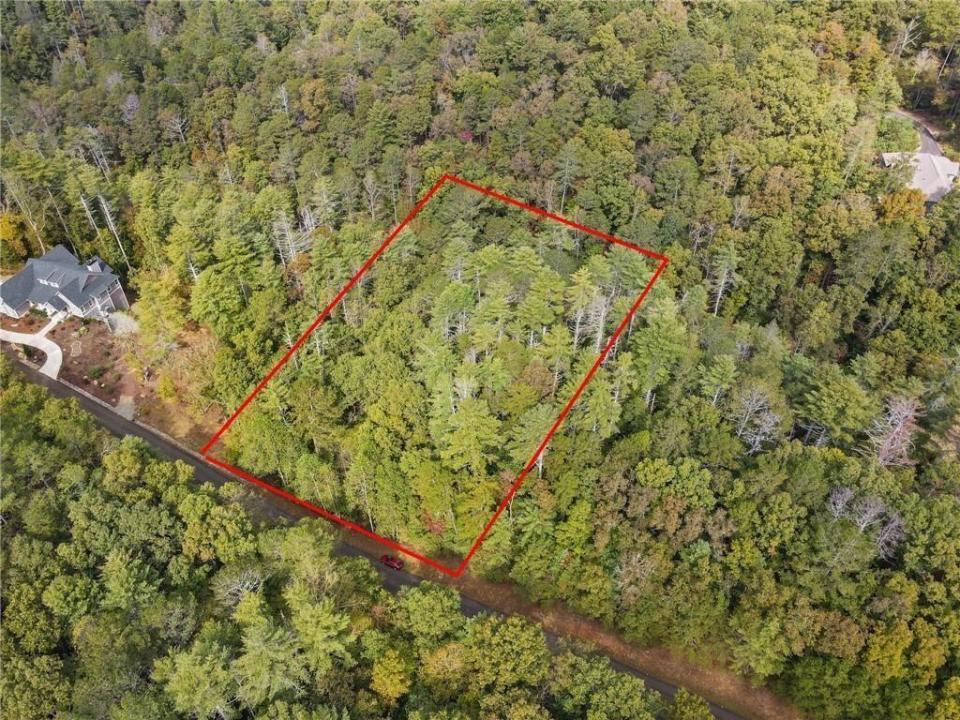 0 Trout Line Court, Talking Rock, Georgia 30175