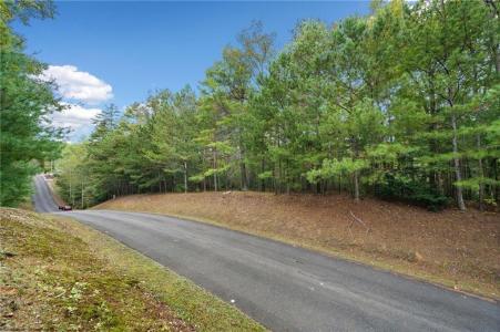 0 Trout Line Court, Talking Rock, Georgia 30175