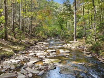 0 Trout Line Court, Talking Rock, Georgia 30175