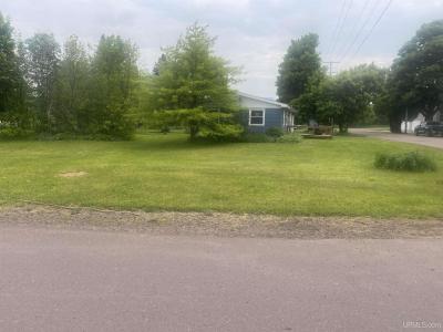 26121 S Calumet, Laurium, Michigan 49913, USA