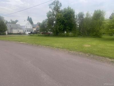 26121 S Calumet, Laurium, Michigan 49913
