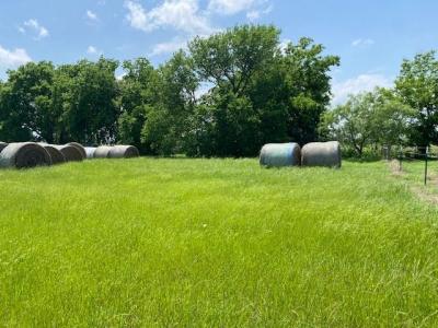 TBD County Road 129, Marlin, Texas 76661