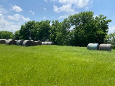 TBD County Road 129, Marlin, Texas 76661