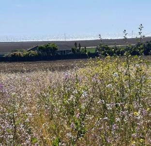 0 00 Bluff Road, Moss Landing, California 95039, Estados Unidos