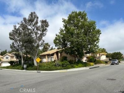 30103 Desert Rose Drive, Castaic, 加州 91384, 美國