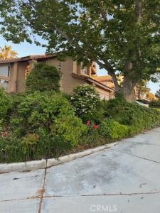 30103 Desert Rose Drive, Castaic, 加州 91384, 美國