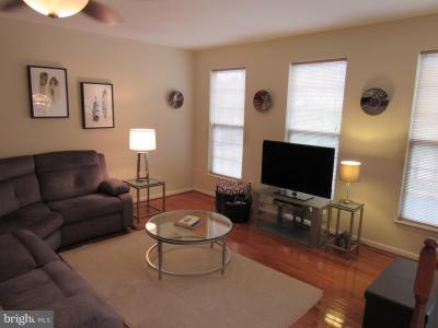 42783 Shaler Street, Chantilly, Virgínia 20152, Estados Unidos