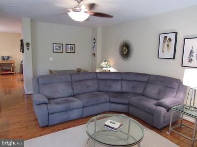 42783 Shaler Street, Chantilly, Virgínia 20152, Estados Unidos