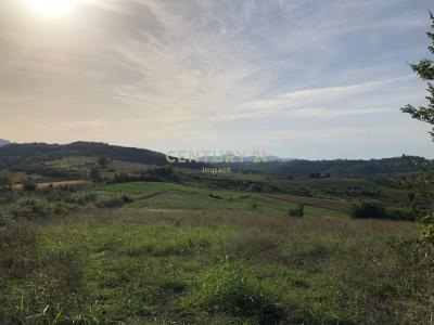 Periferia Tiranë, Tirana, Albania