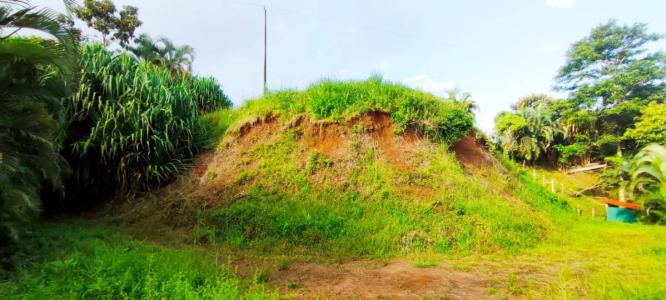 Bijagual Carara Turrubáres, San José 61105, コスタリカ