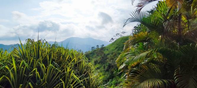 Bijagual Carara Turrubáres, San José 61105, コスタリカ