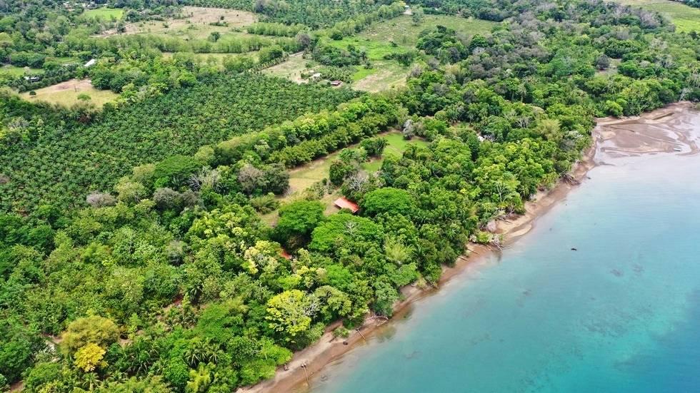 Puerto Jiménez Golfito, Puntarenas 00001, Kosta Rika