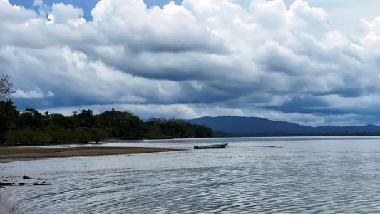 Puerto Jiménez Golfito, Puntarenas 00001, Kosta Rika
