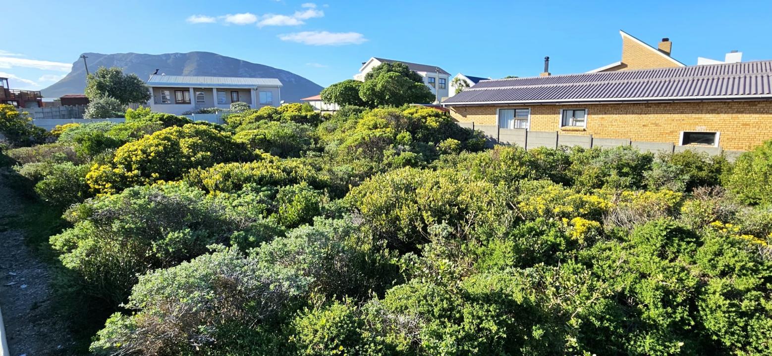 Gansbaai, Western Cape, South Africa