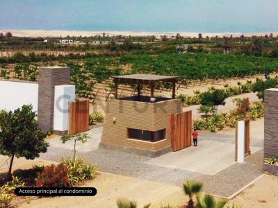 Jr. La Palmera, Fundo Santa Martha , Pisco, Ica 00001, 페루