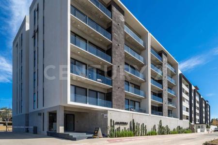 RIU 10,, Los Cabos, Kalifornia Dolna Południowa 23454, Meksyk