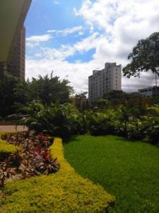 monte colon Dorado, Caracas, Distrito Capital 00001, Venezuela