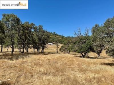 1965 Stagecoach Rd, Copperopolis, Kalifornia 95228, USA