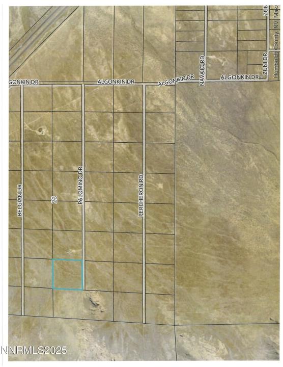 08067107 Palomino Rd, Golconda, Nevada 89414, États-Unis