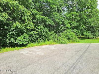 Bear Den - Lot 21, Crossville, Tennessee 38571, USA