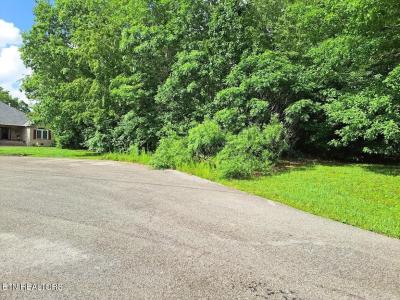 Bear Den - Lot 21, Crossville, 田纳西州 38571, 美国