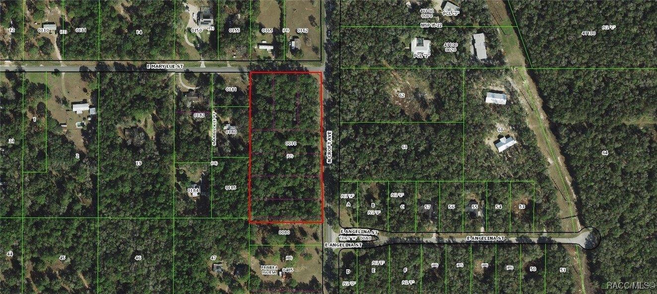 2850 E Mary Lue Street, Inverness, Florida 34453