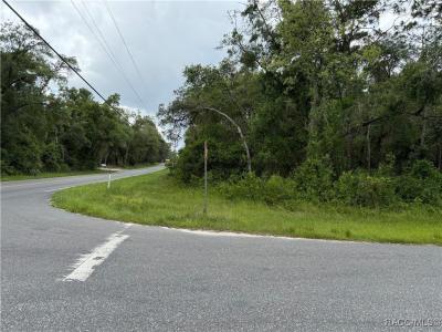 2850 E Mary Lue Street, Inverness, Florida 34453