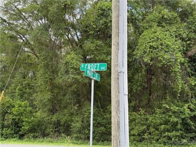 2850 E Mary Lue Street, Inverness, Florida 34453