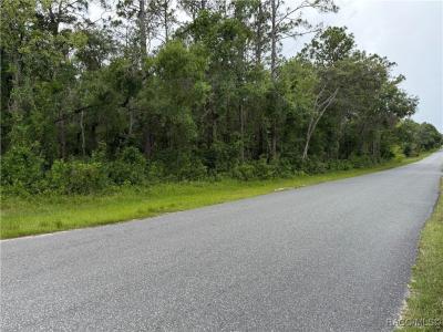 2850 E Mary Lue Street, Inverness, Florida 34453