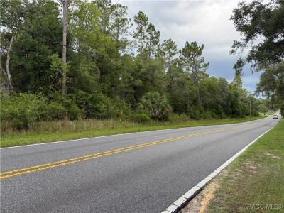 2850 E Mary Lue Street, Inverness, Florida 34453