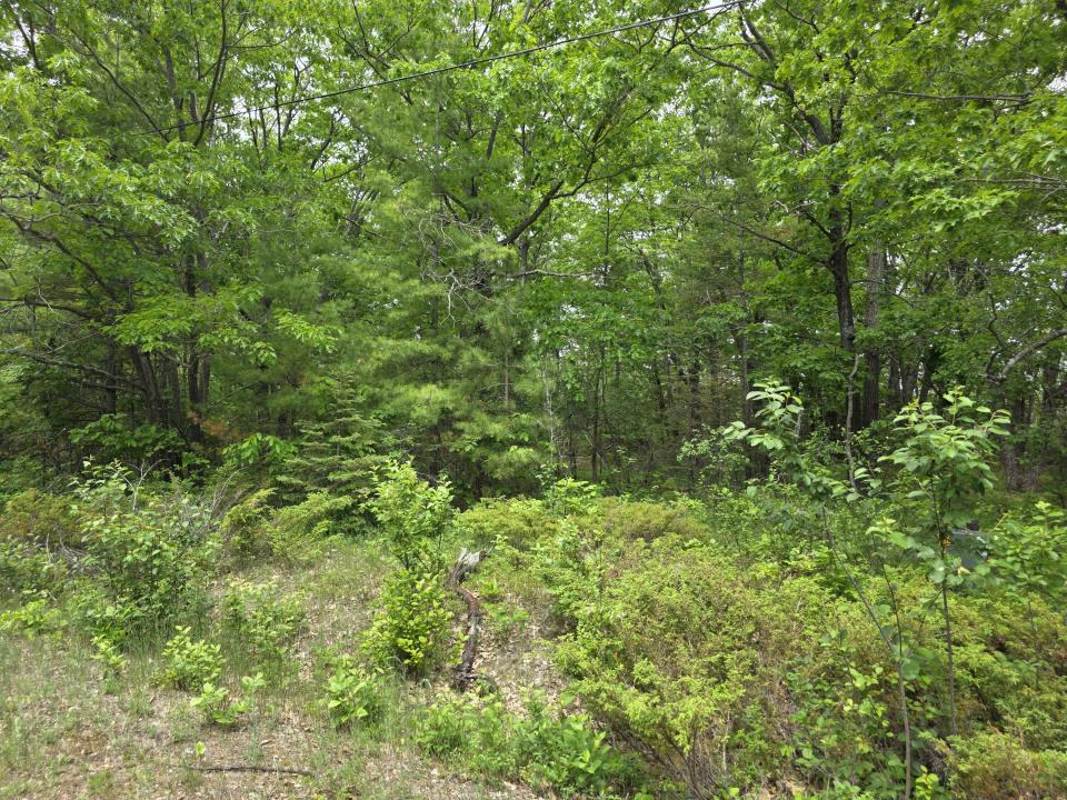 Balsam Circle, Presque Isle, Michigan 49777, Estados Unidos