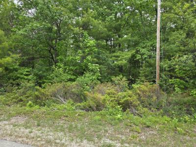 Balsam Circle, Presque Isle, Michigan 49777, Estados Unidos